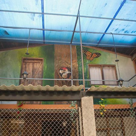 Hostal Los Farolitos Mindo Extérieur photo