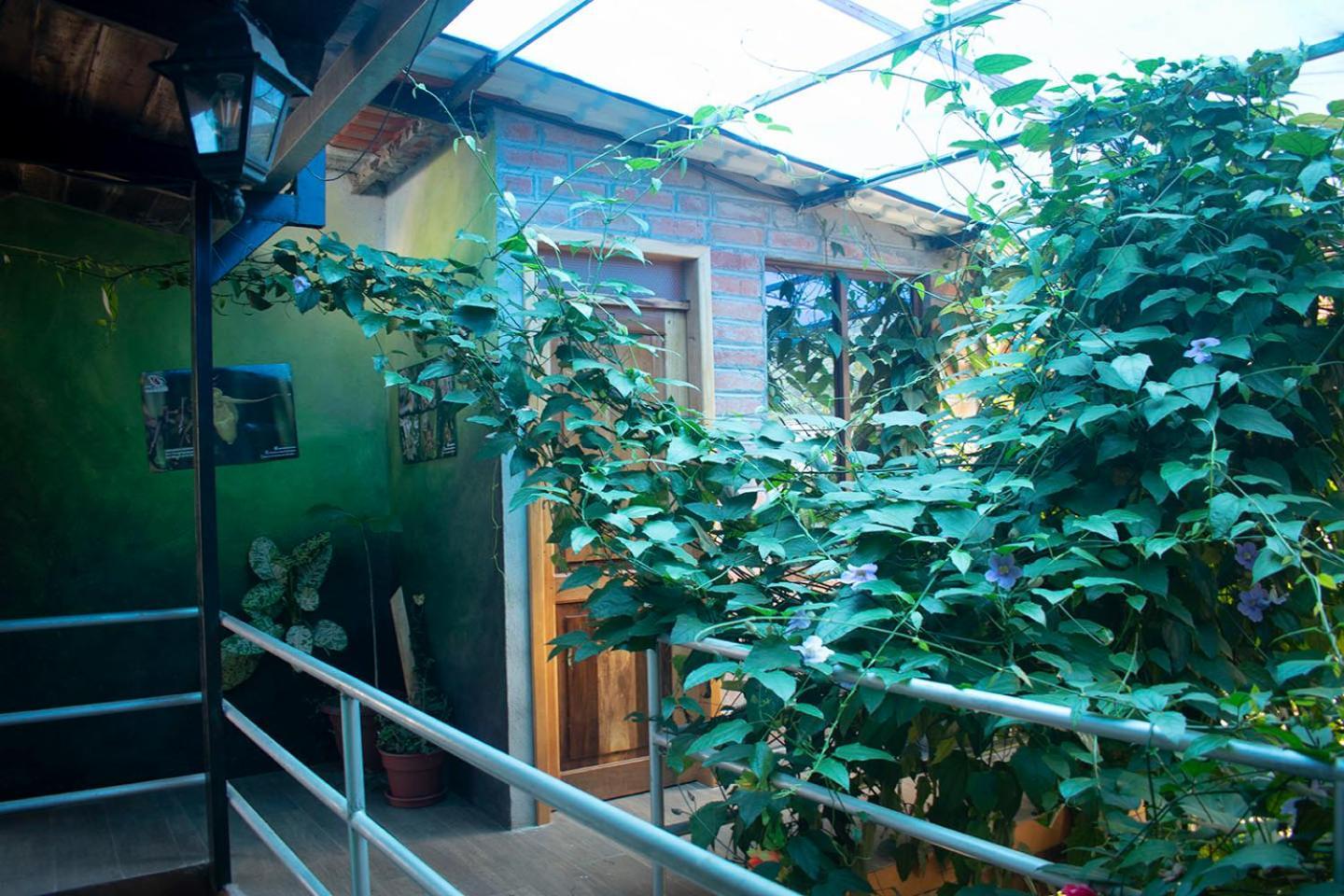 Hostal Los Farolitos Mindo Extérieur photo