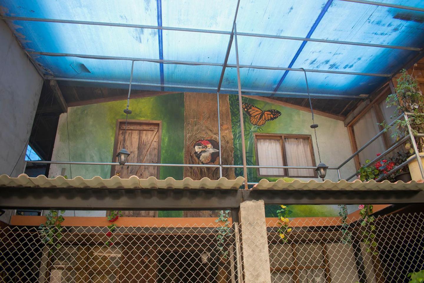 Hostal Los Farolitos Mindo Extérieur photo
