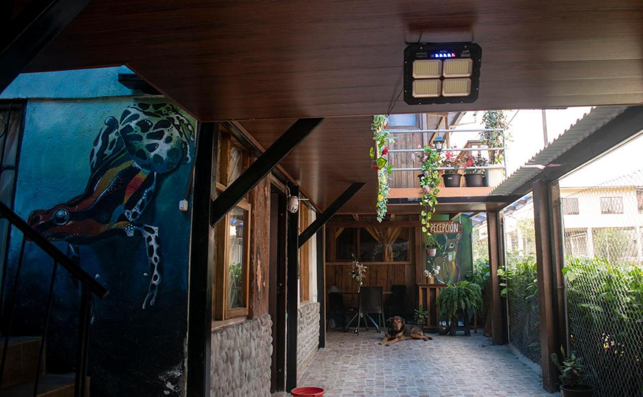 Hostal Los Farolitos Mindo Extérieur photo
